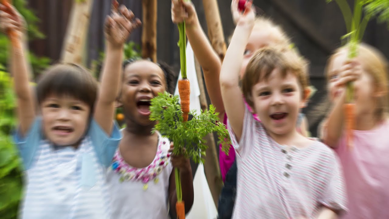 The Promise of Lifetime Natural Organic Farm