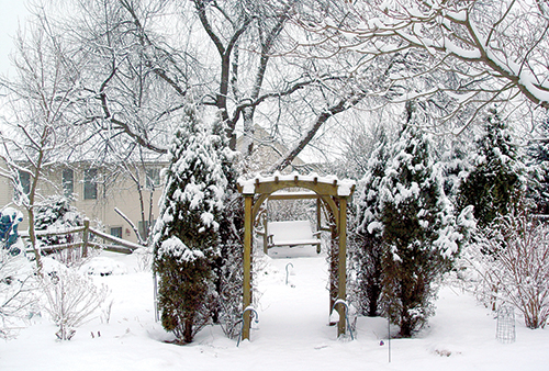 The arbor and evergreens take center stage in the same garden in winter.