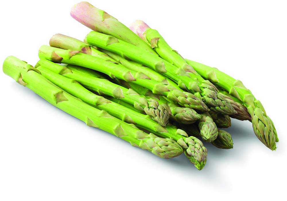 Grow More Asparagus - Alabama Cooperative Extension System