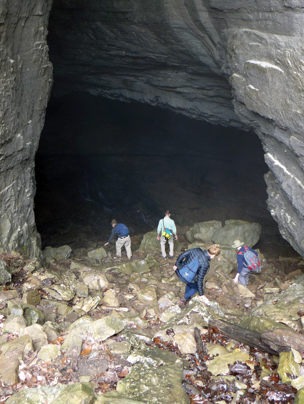 CAVE_STEPHEN'S GAP OPENING