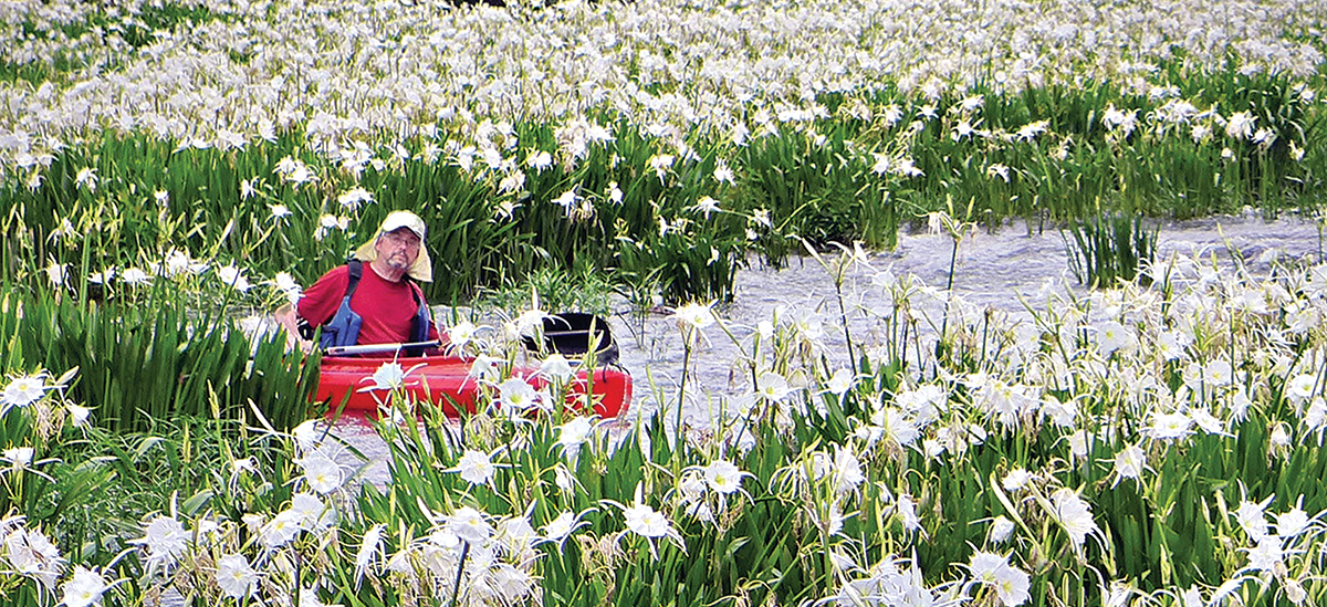 Mike Duffey of Rome, Ga., paddles through a stand of Cahaba lilies.