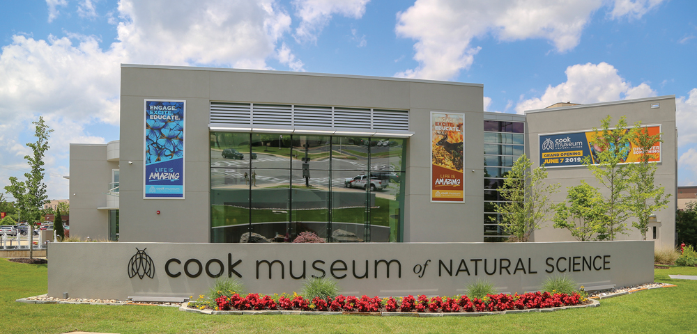 The inviting entrance to Cook Museum of Natural Science. Photo courtesy Cook Museum