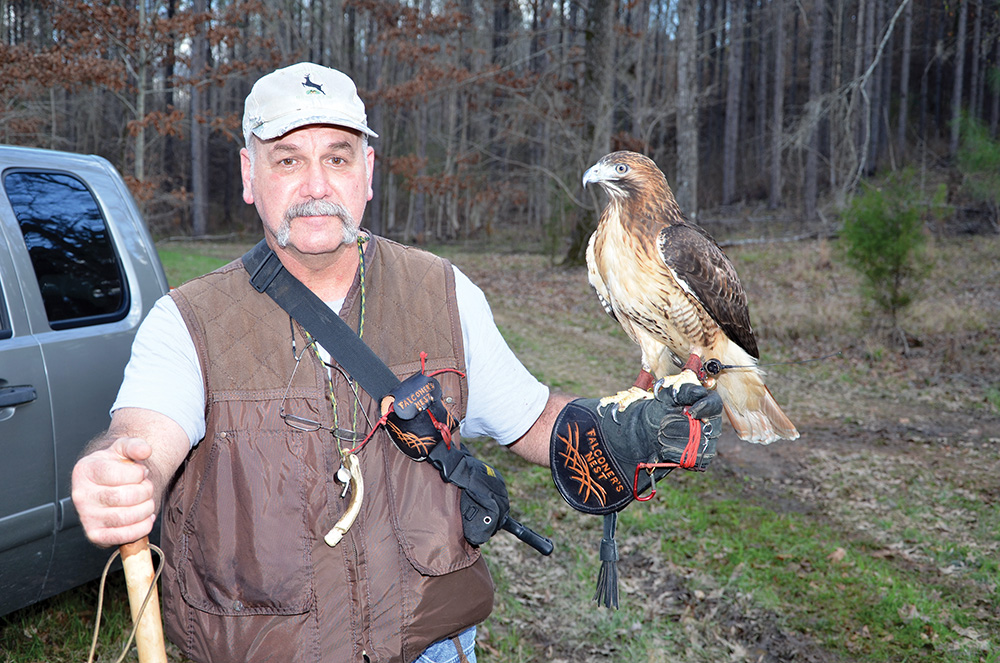 Hawk stalk - Alabama Living Magazine