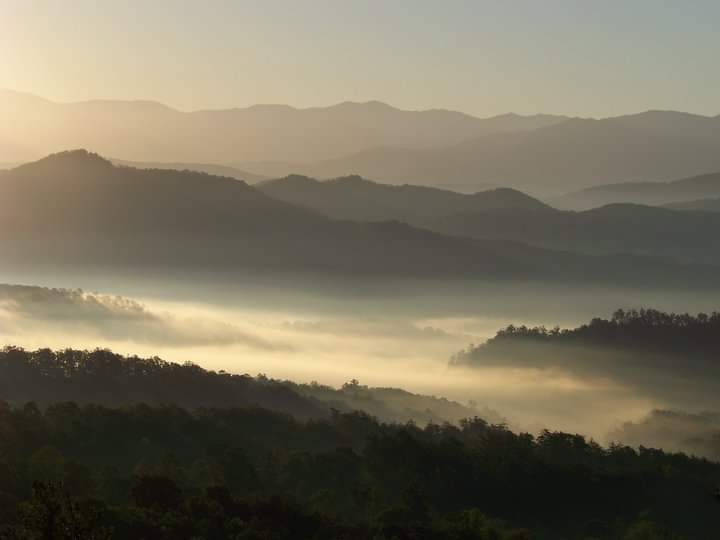 Early morning mountain mist from Wears Valley, Tennessee.SUBMITTED by Sheila Johnston, Ozark.