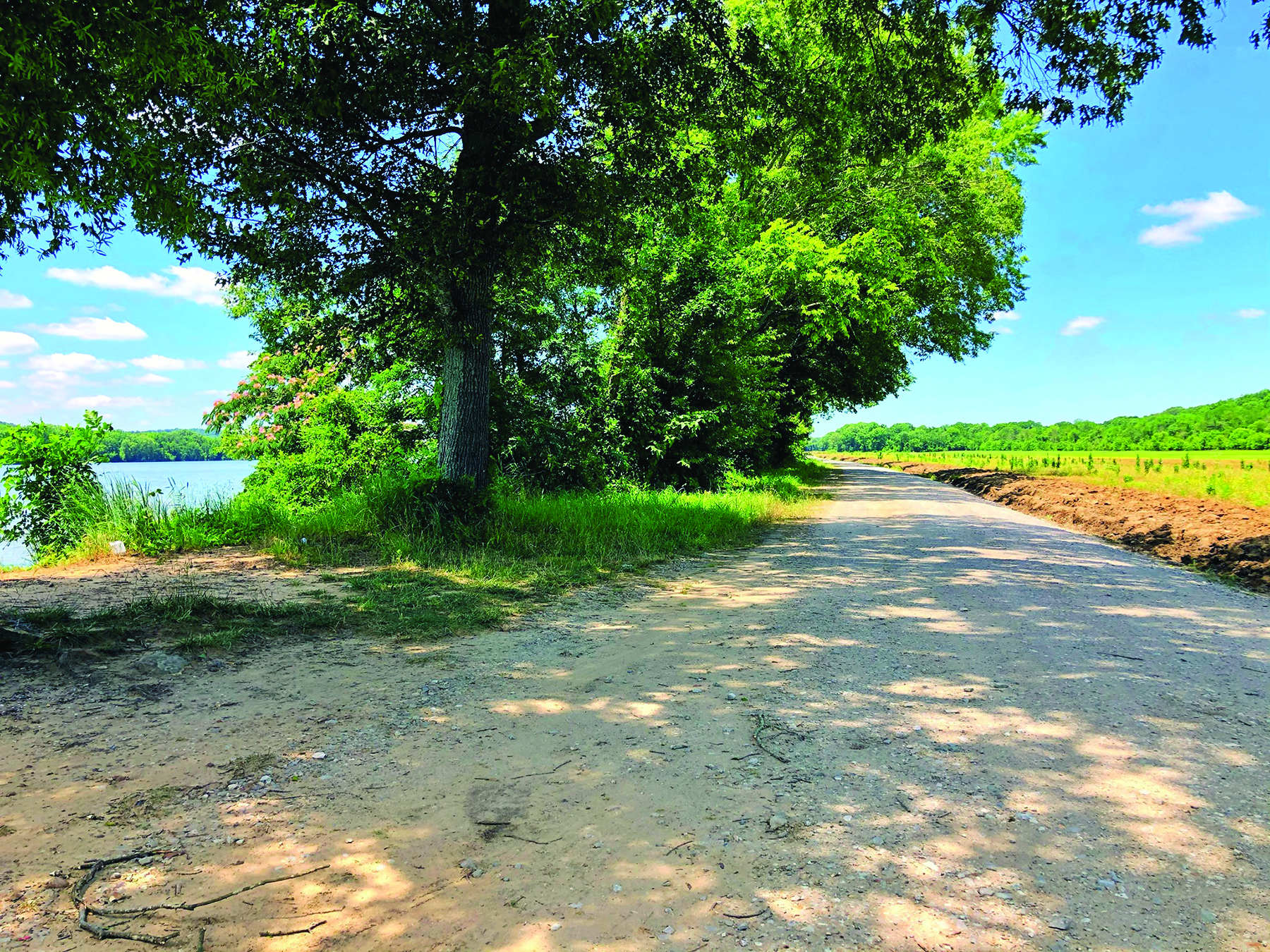 This photo shows land that will be a part of the proposed Singing River Trail, a 140-mile hiking, biking and birding trail that will link eight north Alabama counties. Photo courtesy of John Kvach
