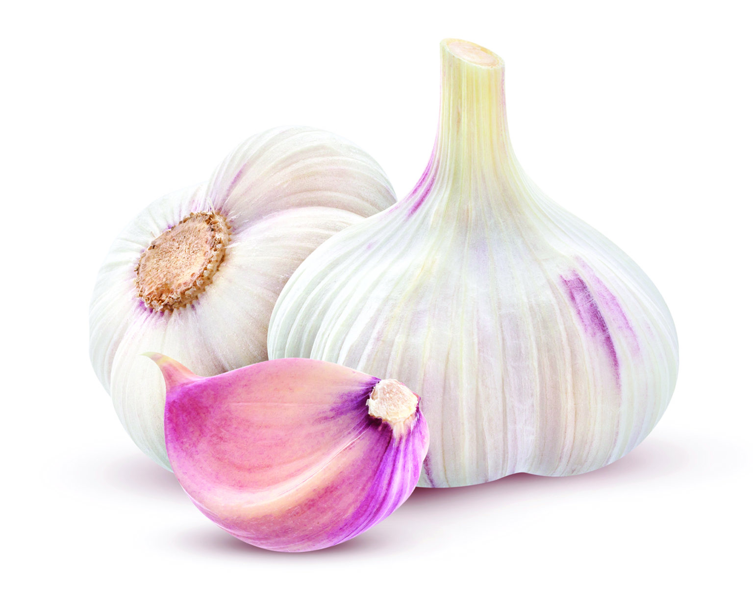 Garlic gratitude Time to plant this flavorful crop Alabama Living Magazine