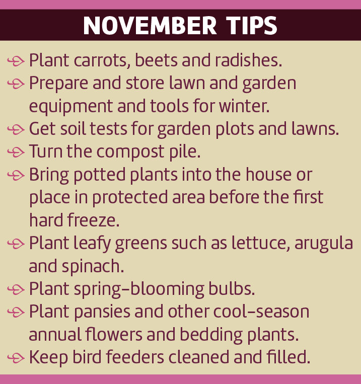 Plant carrots, beets and radishes. 
Prepare and store lawn and garden equipment and tools for winter.
Get soil tests for garden plots and lawns.
Turn the compost pile.
Bring potted plants into the house or place in protected area before the first hard freeze.
Plant leafy greens such as lettuce, arugula and spinach.
Plant spring-blooming bulbs.
Plant pansies and other cool-season annual flowers and bedding plants. 
Keep bird feeders cleaned and filled.