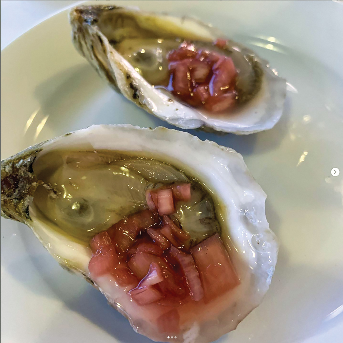 The state of Alabama’s oysters Alabama Living Magazine