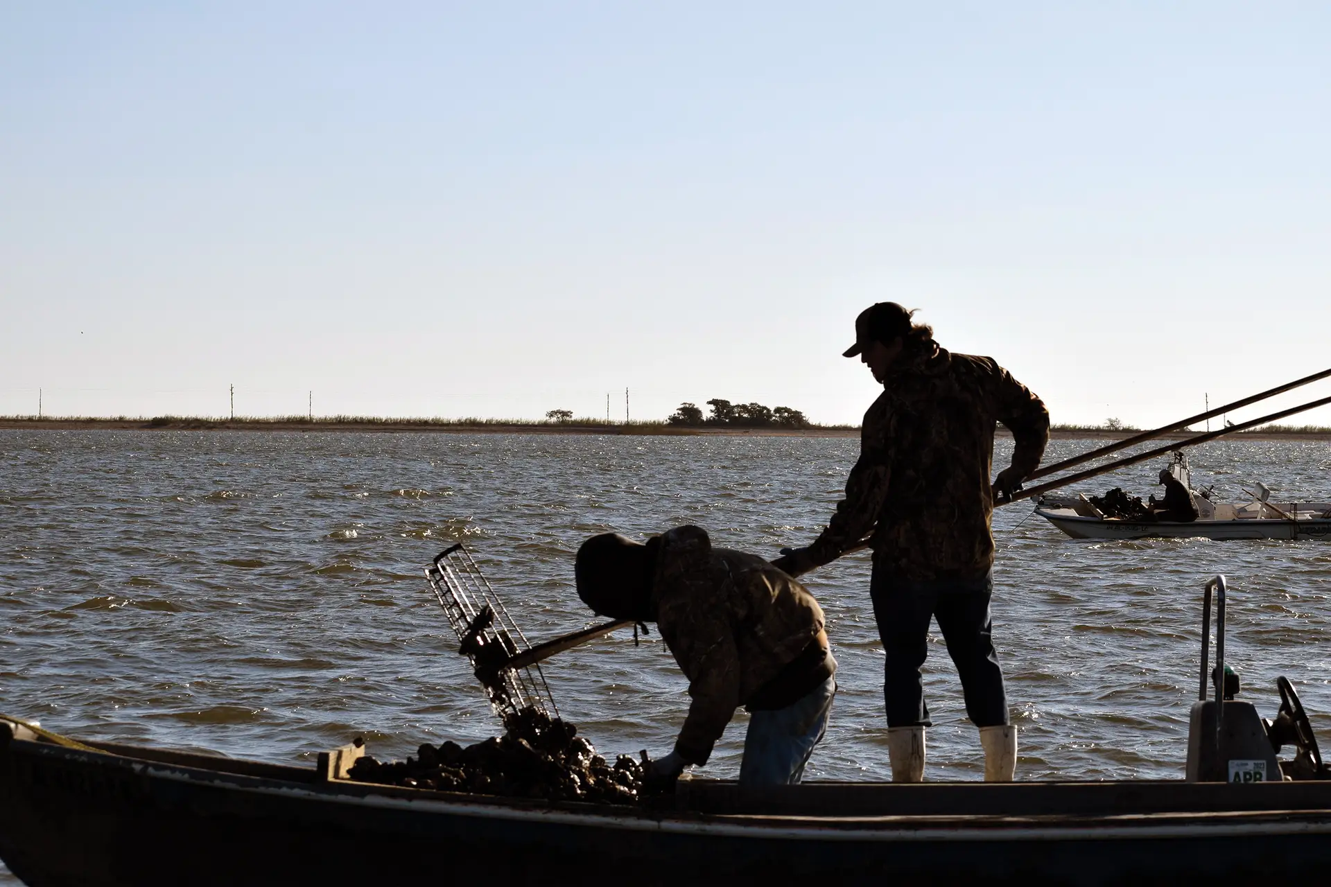 Harvesting wild oysters in Alabama waters with the tonging method. Photo courtesy of Marine Resources Division