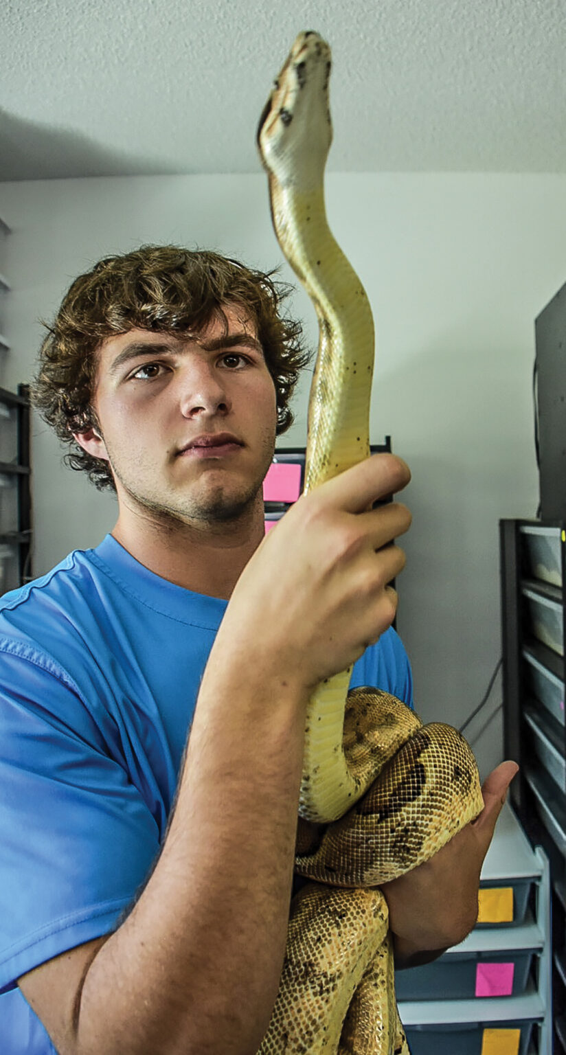 Fascination with snakes leads to lucrative business for Baldwin County ...