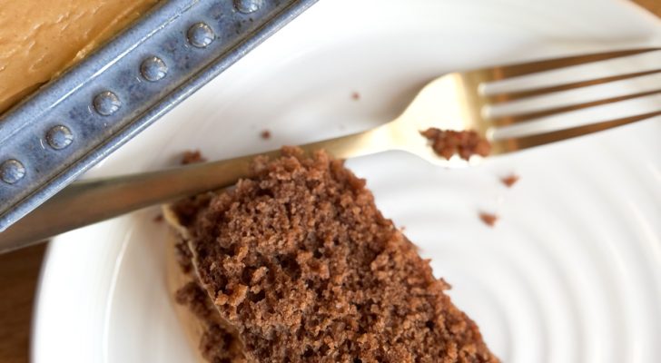 Chocolate Mayonnaise Cake with Peanut Butter Frosting-1