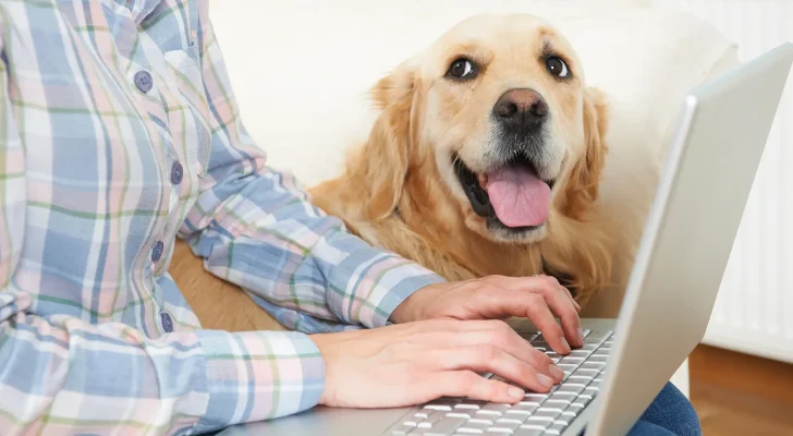 Dog Sitting Next To Owner Using Laptop